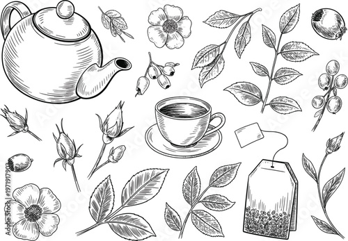 Herbal tea hand drawn set with teapot, cup, tea bag and leaves, drink concept isolated vector