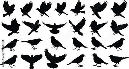 Bird silhouettes collection with flying and perched poses, black vector set of pigeons, doves and urban wildlife isolated illustration