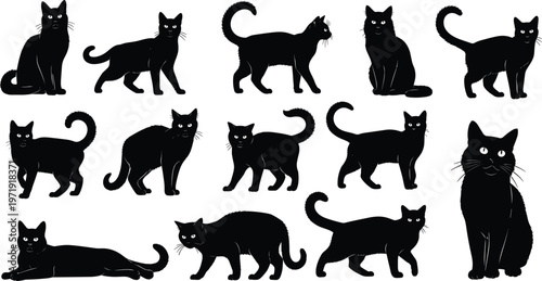 Black cat silhouette collection in various poses, minimalist feline vector set for Halloween, pet design, logo, illustration, isolated graphic
