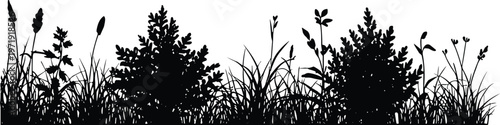 Black silhouettes of wild plants, grasses, and small shrubs arranged horizontally, botanical vector illustration for nature, outdoor, and landscape design