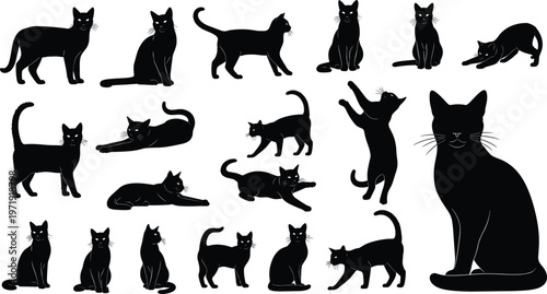 Collection of cat silhouettes in various poses, playful and sitting domestic feline figures, black minimal vector illustration isolated on white background
