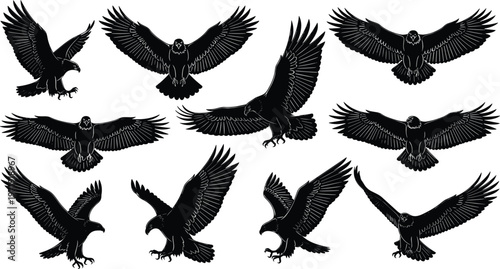Collection of eagle silhouettes in flight with spread wings detailed bird of prey vector set isolated for wildlife design illustration