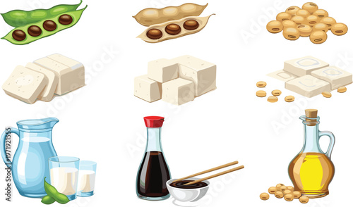 Soy Food Collection with Tofu, Soybeans, Edamame, Soy Milk, Sauce, and Oil in Detailed Illustration for Healthy Diet and Plant Based Nutrition Design