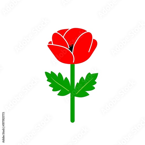 A simple, vibrant illustration of a single red poppy with green leaves on a white background, symbolizing remembrance and beauty