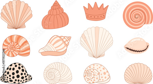 Minimal Sea Shell Set with Abstract Coastal Elements in Soft Coral Tones for Beach Design, Marine Illustration, and Modern Ocean Collection