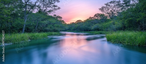 Serene River Sunset Through Lush Forest