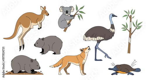 Australian Wildlife Collection: Kangaroo, Koala, Emu, Dingo, Wombat, Platypus