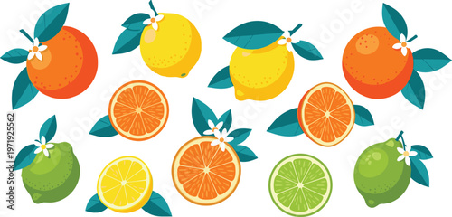 Citrus Fruit Set with Orange, Lemon, and Lime Slices with Leaves in Flat Design for Fresh Food Illustration, Juice Branding, and Healthy Lifestyle Collection