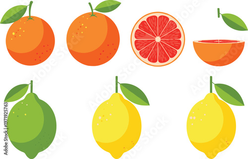 Citrus Fruit Collection with Orange, Grapefruit, Lemon, and Lime in Flat Style for Fresh Food Illustration, Juice Branding, and Healthy Lifestyle Design
