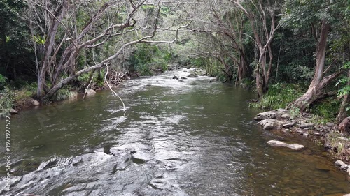 Freshwater Creek Flowing Through Tropical Rainforest Near Cairns, Queensland, Australia