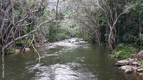Freshwater Creek Flowing Through Tropical Rainforest Near Cairns, Queensland, Australia