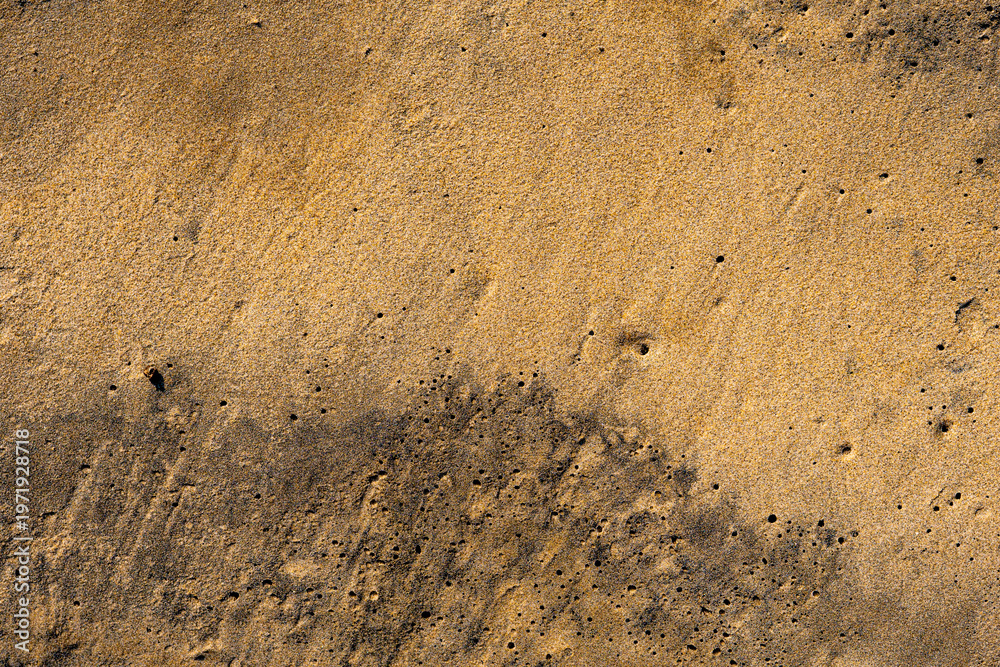 Fototapeta premium Golden waves texture of sand dunes on a river bank