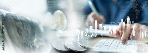 Canvastavla Finance, banking and investment, Asset allocation, budget management
