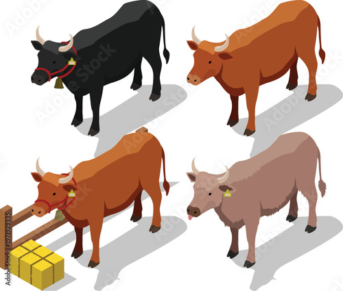 Isometric cow livestock set illustration