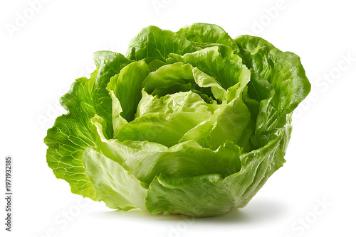 single Iceberg lettuce isolated on pure white background