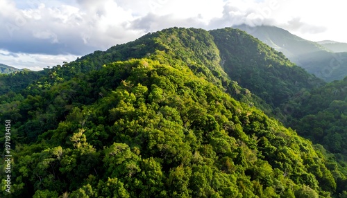 Lush, verdant hills cascade under soft light, clouds linger on distant peaks, creating depth in a tropical landscape