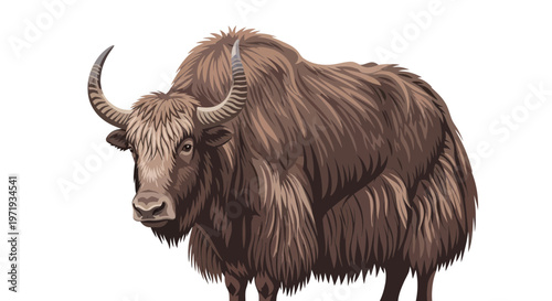 Majestic Yak with Long Fur and Curved Horns on White Background