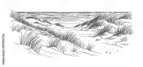 Dune grass and ocean view in a vintage line style sand