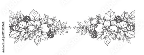 Decorative of assorted berries and leaves symmetrical arrangement berry leaf fruit