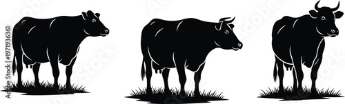 Three Grazing Cow Silhouettes on Grass Field Vector