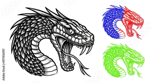 Aggressive Snake Head Illustration, Fierce Reptile Portrait, Danger Symbolism