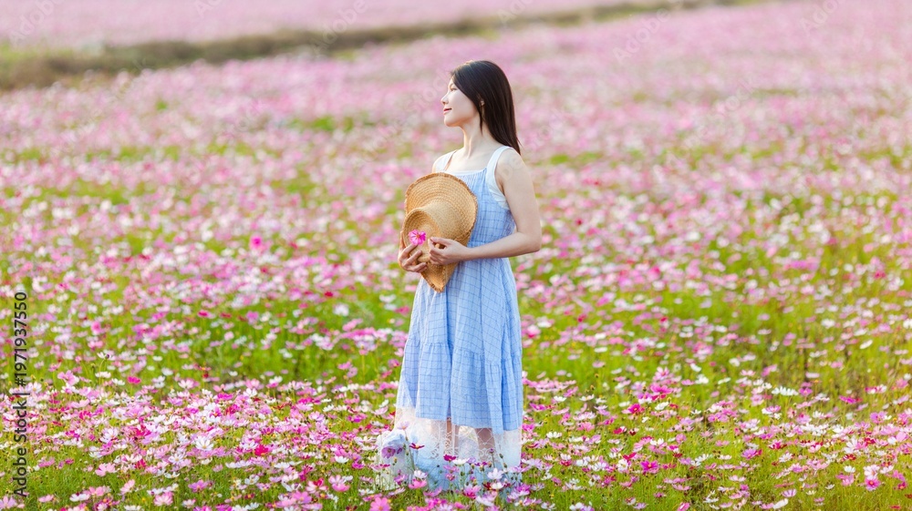 Fototapeta premium An Asian woman playing in a cosmos flower field in spring