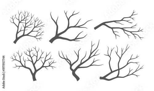 Six dark gray bare tree branches silhouettes white