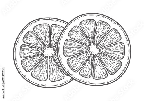 Two black and white citrus fruit slices overlapping orange lemon