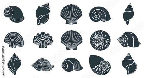 Collection of Diverse Seashell Silhouettes on White Background