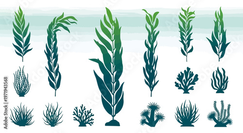 Green Seaweed and Coral Collection, Underwater Flora Illustrations
