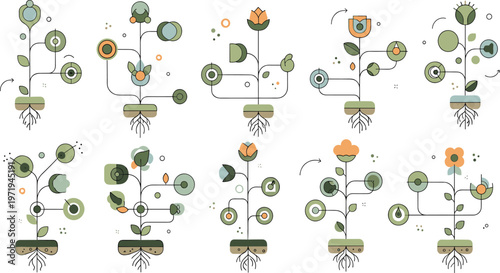 Cuadro en lienzo Plant Growth Process Vector Set with Stages of Development, Roots, Leaves, Flowers and Botanical Elements for Nature Education and Ecology Design