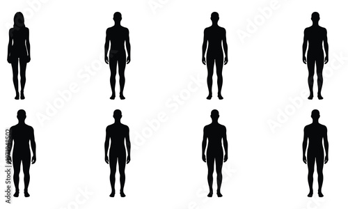 Arrangement of human body silhouettes, featuring multiple male and female figures standing, isolated on a white background.