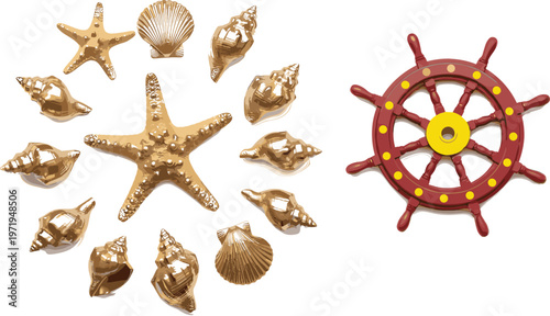 Sea Shell and Starfish Collection with Ship Wheel Vector Illustration Nautical Marine Elements Isolated on Transparent Background for Ocean Design