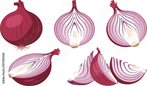 Red onion whole and sliced portions with rings for cooking preparation.