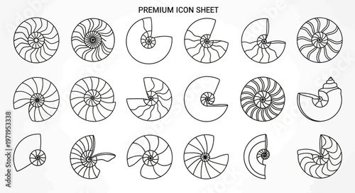 Nautilus Shell Cross Section Icons: Full, Half, Quarter Views