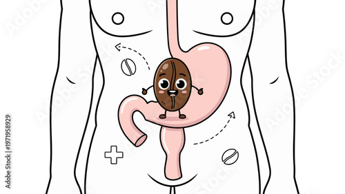 Coffee Bean Character in Human Digestive System.