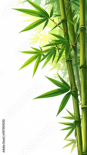 Illustration of several tall, green bamboo stalks with leaves, white background