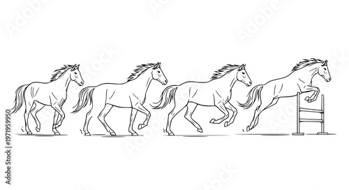 Horse Movement Sequence Vector Showing Walk Trot Gallop Jump