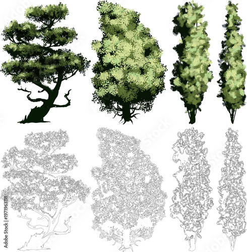professional asset pack featuring stylized tree renders and precise line art, designed for landscape visualization, architectural planning, and nature-themed digital art.