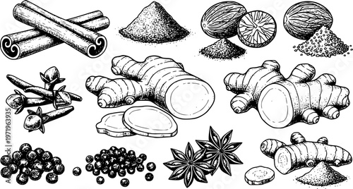 Hand-Drawn Spice Collection Vector Set: Cinnamon, Nutmeg, Clove, Ginger, Peppercorn, Star Anise, and Turmeric. Botanical Sketch for Cooking & Food Design. 
