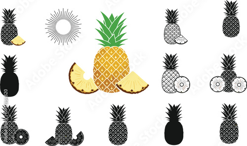 Pineapple fruit vector illustration set, tropical summer fruit icons, whole and sliced pineapple graphics, black silhouettes and colorful designs isolated on white background,