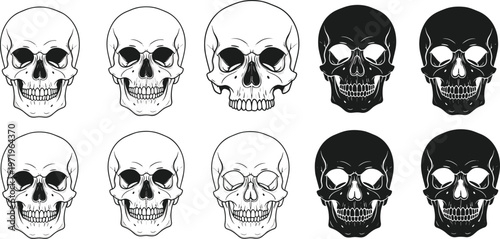 Illustration Set of Human Skull Designs in Outline and Solid Styles for Anatomy, Medical, Tattoo, and Halloween Graphic Projects