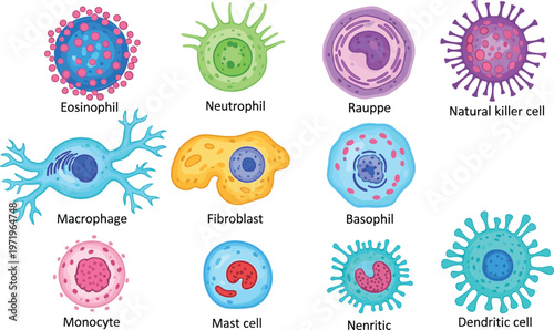 Human Immune Cell Types Icon Set with Neutrophil, Macrophage, Basophil, Mast Cell, and Dendritic Cells for Medical Education Illustrations