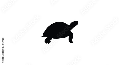 A dark turtle shape against a white background a striking silhouette
