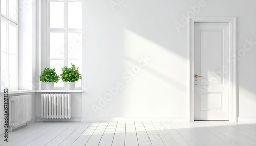 Minimalist white room with window, door, plants, and radiator