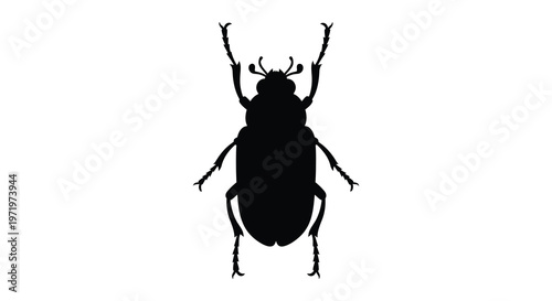 Detailed black stag beetle form viewed from above a striking silhouette