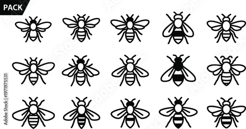 Collection of black and white bee with varied stripe patterns and wing insect pack