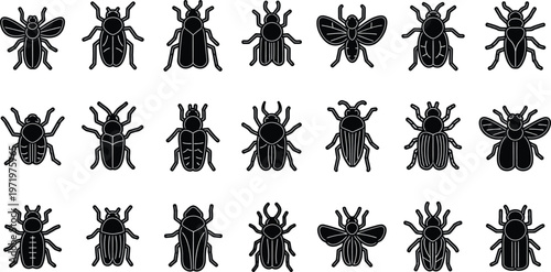 Collection of black and white stylized insect on white background beetle symbol