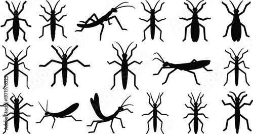 Collection of black insect silhouettes on a white background grasshopper