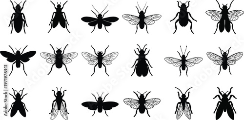Collection of black insect silhouettes with detailed wings and antennae white background